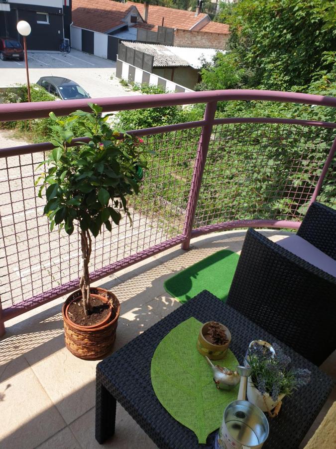 Lux Apartman Cacak Luaran gambar